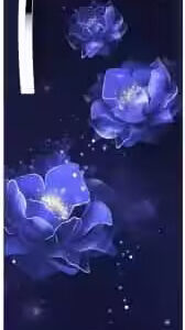 Whirlpool 215 L 3 Star Direct Cool Single Door Refrigerator Blue (205 IMPC PRM 3S SAPPHIRE HIBISCUS)