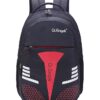 Graph design large school backpack with laptop compartment
